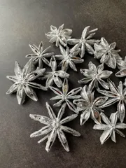 2026年最新】スターアニスの人気アイテム - メルカリ