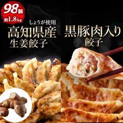 《生姜餃子48個 黒豚肉入り50個セット》(※高知県産生姜使用) 一龍堂 餃子　※北海道・沖縄・離島発送不可