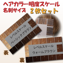 ヘアカラー明度スケール 名刺サイズ両面 2枚セット ベーシックブラウン ウォームブラウン レベルスケール