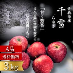 青森県産 千雪 りんご【A品3kg】【送料無料】【農家直送】リンゴ サンふじ