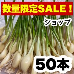 50 にんにくスプラウト 即購入OK m41