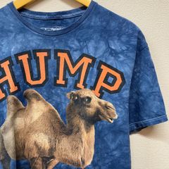 古着　L　THE MOUNTAIN　ザマウンテン　ラクダ　アニマル　Tシャツ　クルーネック　青　タイダイ