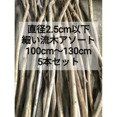 【送料無料】南信州産 天然流木 【直径2.5cm以下 細い流木】【100〜130cm】枝流木 【アソート 5本セット 】長い流木 格安まとめ売り