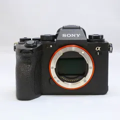 2025年最新】ソニー（sony） α1の人気アイテム - メルカリ