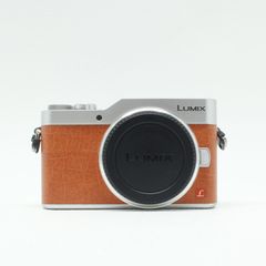 Panasonic LUMIX DC-GF9