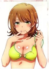 [중고] 클리어 파일 [단품] 일색 이로하 A4 클리어 파일 vol.8 [역시 내 청춘 러브 쌀은 잘못되어있다. 완] C98 상품