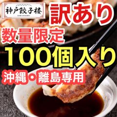 《沖縄・離島専用》数量限定【訳あり】100個入り　冷凍餃子　工場直販　鍋　水餃子