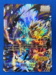 DBFW 【パラレル】 FS09-10 孫悟飯：少年期 (SR☆) ドラゴンボールスーパーカードゲーム