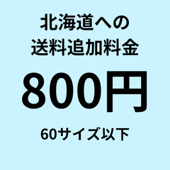 沖縄への送料追加料金　800円　60サイズ以下