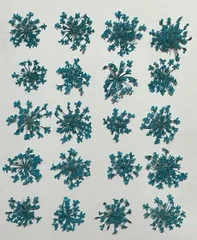 押し花素材パック　レースフラワー（ブルー）20個入　No1050