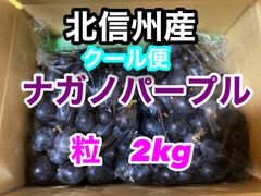 【クール便】長野県産　ナガノパープル　訳あり　粒売り　2kg
