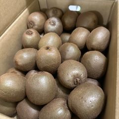 爆買キウイ20キロ　4箱発送