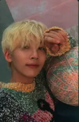 SEVENTEEN CARAT盤 JEONGHAN あいのちから