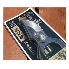 2797 戸田宗寛 「松雲鶴舞高」 肉筆 紙本 書 掛軸 宗 寺 禅語 2797 戸田宗寛 「松雲鶴舞高」 肉筆 紙本 書 掛軸 宗 寺 禅語