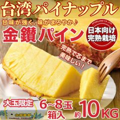 台湾パイナップル 約10kg 6~8玉入 大玉 台湾産金鑚パイン【予約3月下旬】