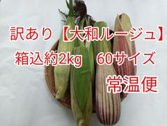 訳あり大和ルージュ 8/4収穫 2kg クール便 - メルカリ