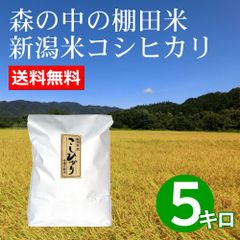 棚田米 新潟米コシヒカリ 5キロ 無洗米・白米 新米 新潟産 送料無料