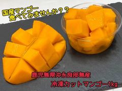 沖永良部産！冷凍カットマンゴー　1kg
