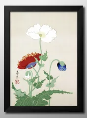 紺×赤 愛蔵版 現代日本の花鳥画 全五巻 二重箱 希少 - 通販