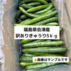 福島県会津産　訳ありきゅうり５ｋｇ