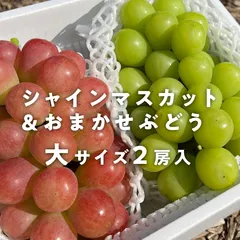2024年最新】甘園房の人気アイテム - メルカリ