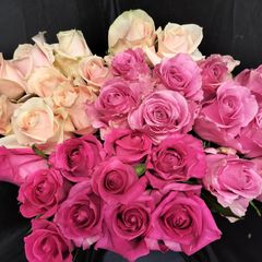 バラ  ピンク3種   40センチ30本 切り花生花