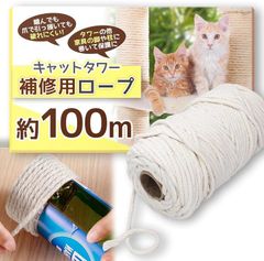 Item thumbnail for item 3c3b12ca-27ed-44e9-9c21-9aa25d949d3a