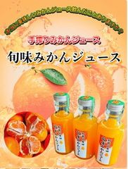 SmileFruitみかんキング - メルカリShops