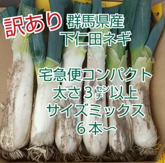 土ネギ　土付ネギ　泥付きネギ　100本入（約10Kg）　新潟県産　冬ネギ　根付き 令和7年11月発送予約】深谷ねぎ10kg 土付き（約40～60本
