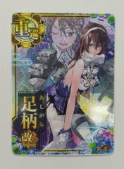 ヴァイスシュヴァルツ ホロライブ 鷹嶺ルイ 高レア SPレア - メルカリ