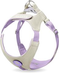 Item thumbnail for item edbc4ee7-e263-4949-b775-0ba0984fbf8b