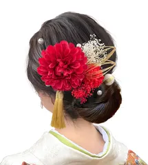 【数量限定】七五三 卒業式 結婚式 花火大会 ウエディング 祭り 花飾り 謝恩会 造花 かわいい プリザーブドフラワー 浴衣 簡潔 袴 髪留め 振袖 着物 かすみ草 和装 和玉 ダリア 成人式 白 髪飾り DL010 [Baramoly]