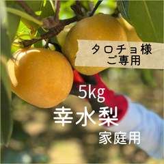 ご専用　梨　幸水　埼玉県産　家庭用　約5㎏　3L以上