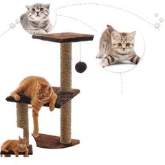 キャットタワー 据え置き 高さ約70cm 猫 ねこ 複数色