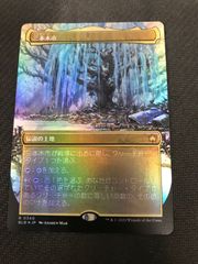 MTG 三本木市 冬 ボーダーレス FOIL 日 - メルカリ
