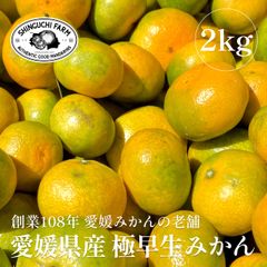 愛媛みかんの老舗厳選 極早生 みかん 2kg【送料無料】農家直送 創業108年 新口農園