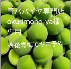 青パパイヤ専門店okurimono-ya専用