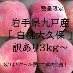 数量限定！安心のクール便「白桃大久保」岩手県九戸産　訳あり3kg～ 8/1順次発送