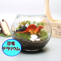 恐竜【苔テラリウム・手作りキット一式】金魚鉢