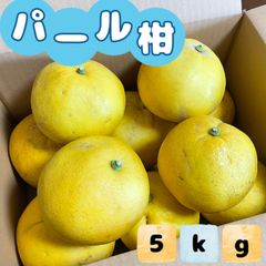 福岡県産 パール柑 5kg