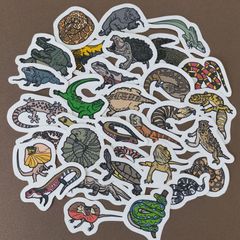 【商品番号S06】　爬虫類のフレークシール　爬虫類　トカゲ　ヤモリ　ヘビ　　シール　レオパードゲッコー　ヒョウモントカゲモドキ　フトアゴヒゲトカゲ　エリマキトカゲ　スキンク　ワニ