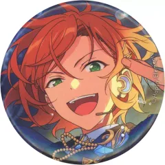 あんスタ 葵ひなた イベコレ缶バッジ 2023 Spring 70点 あんスタ イベコレ 缶バッジ 2023 SPRING 葵ひなた 20点セット