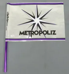 【中古】タペストリー(男性) 三代目J Soul Brothers フラッグ 「三代目J Soul Brothers LIVE TOUR 2016-2017 ”METROPOLIZ”」