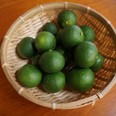 完売御礼【徳用袋】先着順　完全無農薬すだち 500g　料理のお供になる万能柑橘