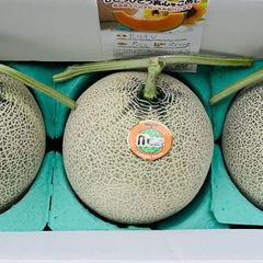 最高級富良野メロン　秀品（2.0～2.5キロ）３玉入り