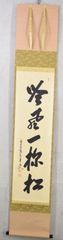 大橋香林「吟風一様松」 掛軸 一行書 掛け軸 紙本 大徳寺 茶掛 共箱
