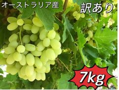 数量限定‼️常温便‼️訳ありぶどう7kg‼️葡萄　ブドウ　家庭用 オーストラリア産　北海道、沖縄の方は450円の追加料金が必要です‼️