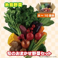 糸島 新鮮産直 野菜 おまかせセット ８品～１０品
