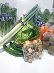 新鮮野菜セット