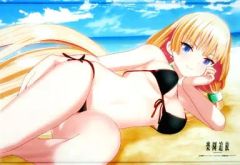 [중고] 태피스트리(대형) No.3 안젤라 발작(비치) B2 사이즈 태피스트리 [낙원 추방 -Expelled from Paradise-] 도에이 애니메이션 온라인 숍 & ANIPLEX+한정
